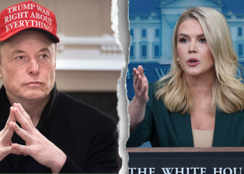 Elon Musk tapped to help lead investigation into Signal chat leak: White House