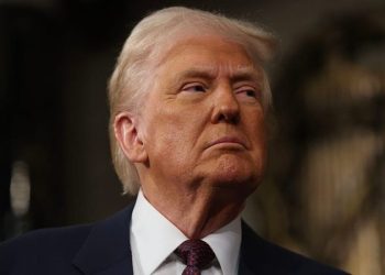 Trump warns of jail time for Tesla vandals, anyone funding the attacks: ‘WE ARE LOOKING FOR YOU!!!’