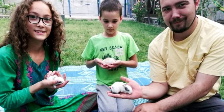 At least 26 American hostages released since Trump took office