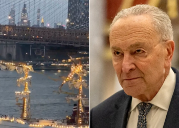 Schumer ripped for placing blame on Trump, DOGE for deadly Mexican Navy crash in NYC: ‘He is an idiot’