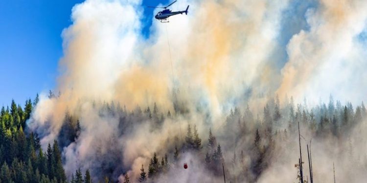 Wildfires Slash Canadian Oil Output by 7 Percent