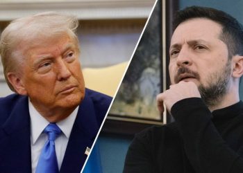 Zelenskyy to meet with Trump in Washington, DC following US-Russia talks